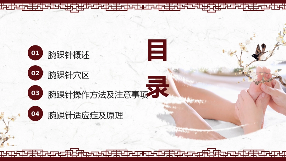 中医治疗：腕踝针中医技术1_第2页