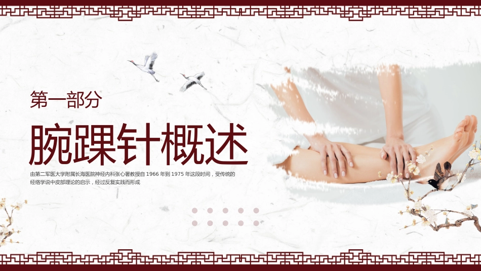 中医治疗：腕踝针中医技术1_第3页