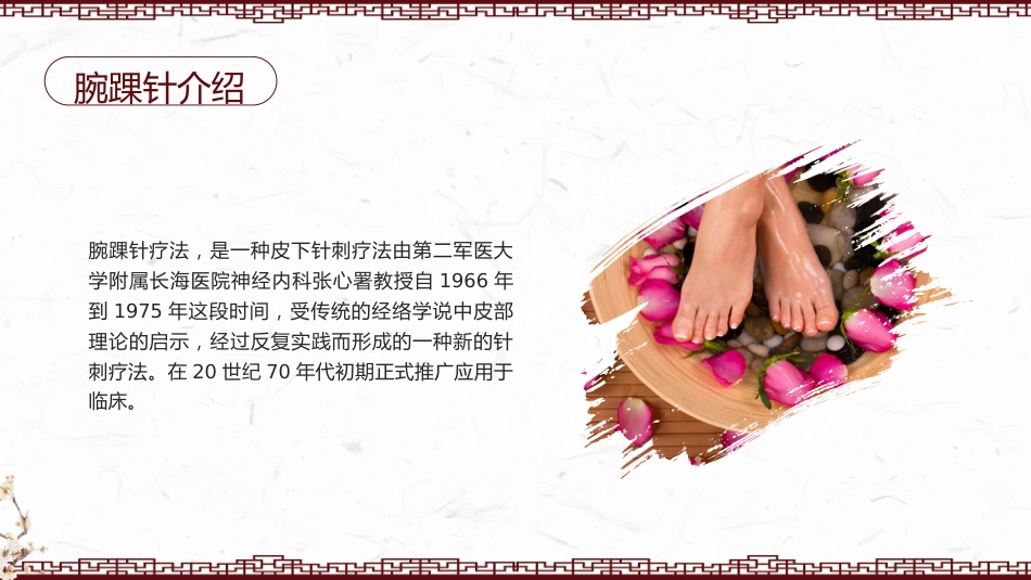 中医治疗：腕踝针中医技术1_第4页