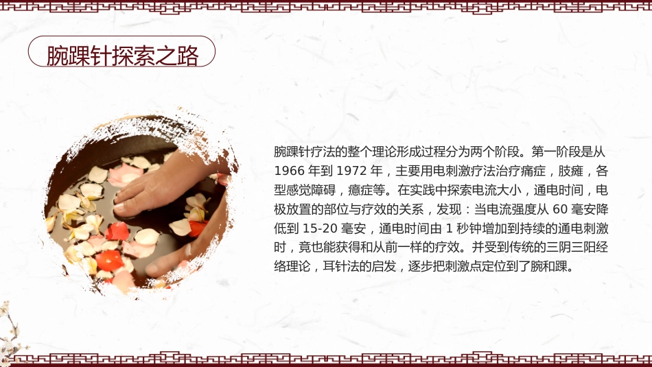 中医治疗：腕踝针中医技术1_第6页