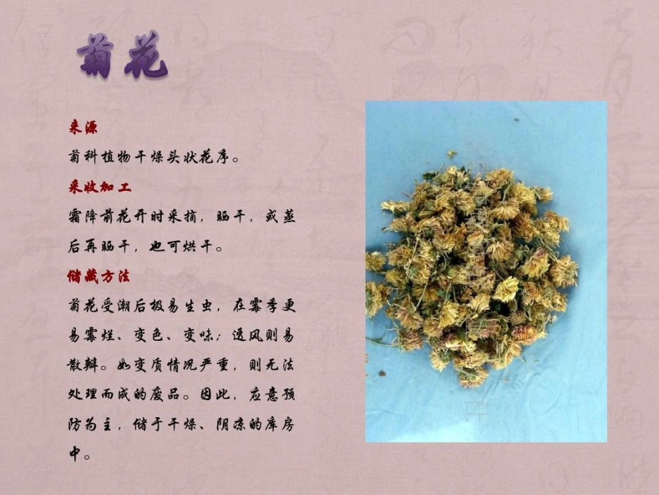 中药材储存与养护PPT_第13页