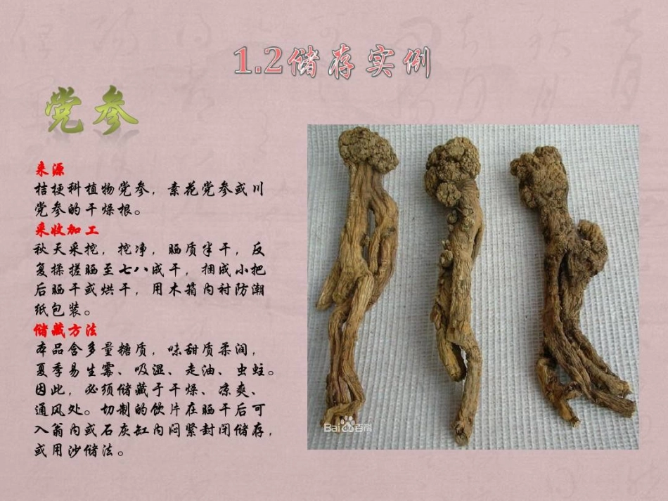 中药材储存与养护PPT_第6页