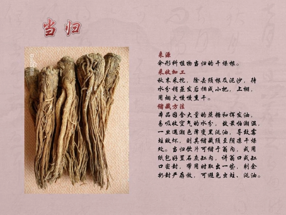 中药材储存与养护PPT_第7页