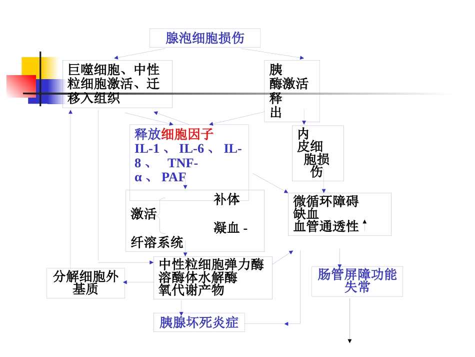 急性胰腺炎中医_第8页