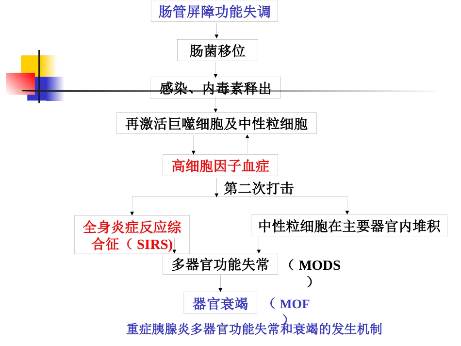 急性胰腺炎中医_第9页