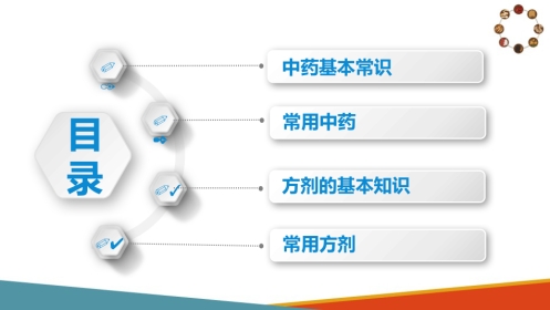 中药与方剂—常用中药知识(中医基础课件)