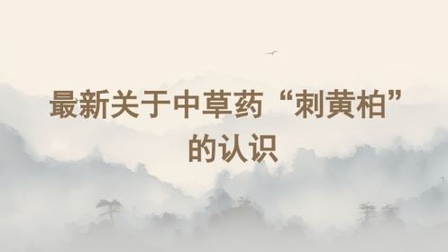 最新关于中草药“刺黄柏”的认识