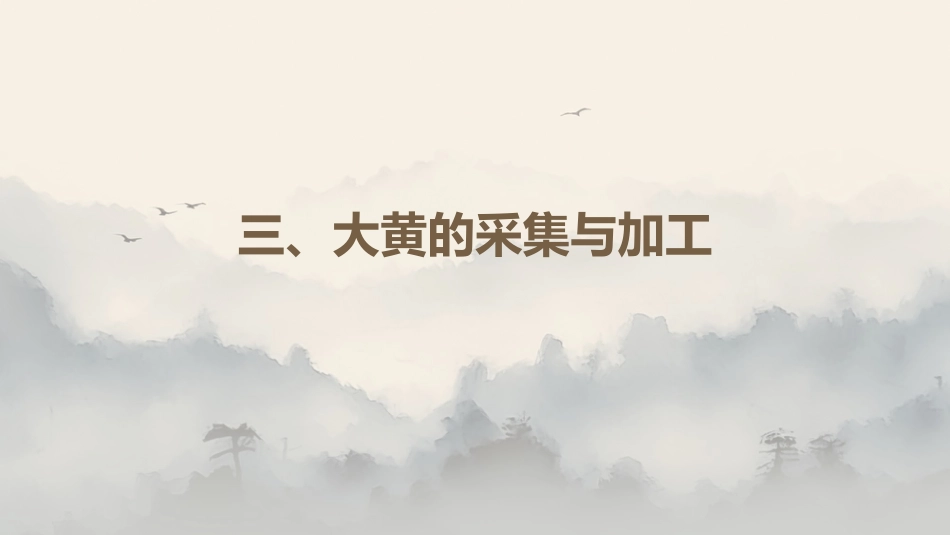 最新关于中草药“大黄”的认识_第11页
