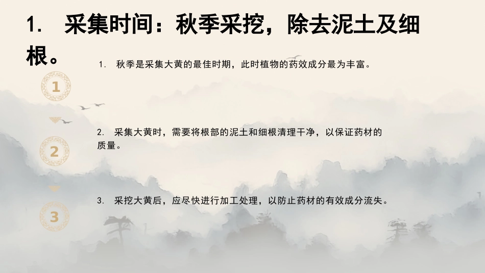 最新关于中草药“大黄”的认识_第12页