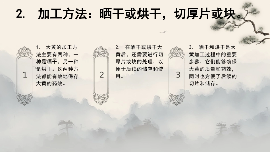 最新关于中草药“大黄”的认识_第13页