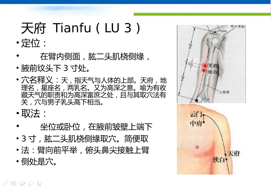 经络腧穴学(含穴名释义)-手太阴肺经_第13页