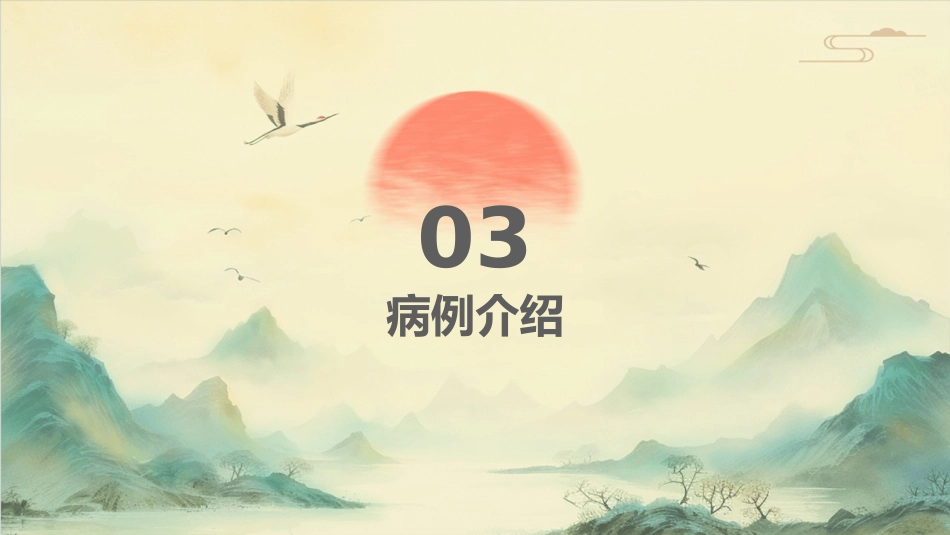中医护理：蛇串疮患者的中医个案护理_第13页
