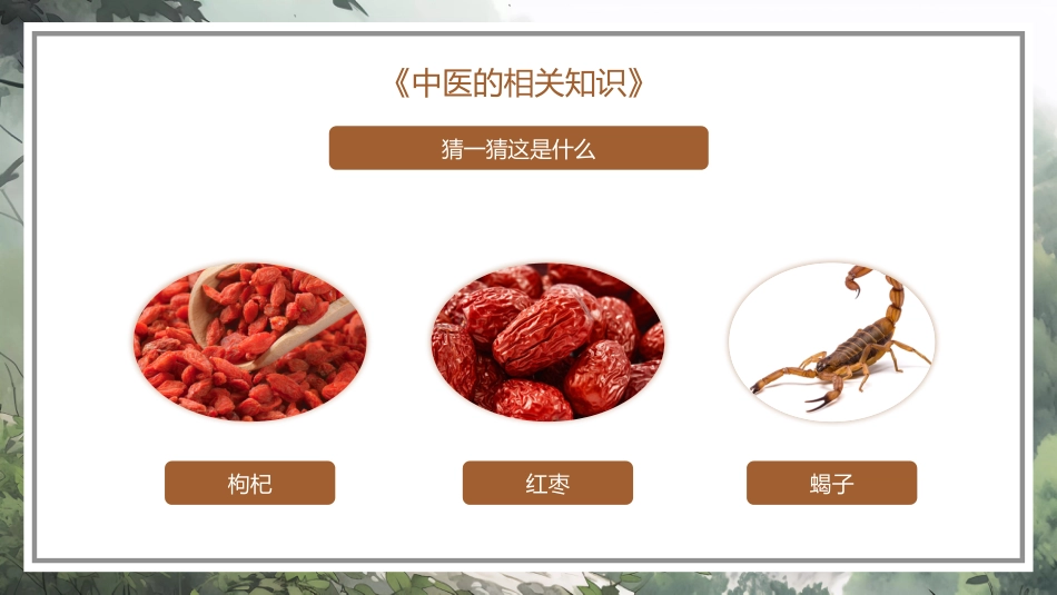 中医其他：神奇的中医1_第11页