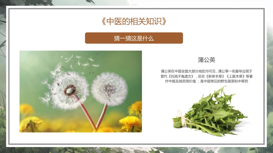中医其他：神奇的中医1_第12页