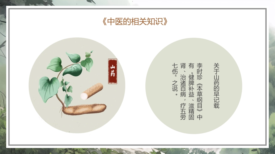 中医其他：神奇的中医1_第14页