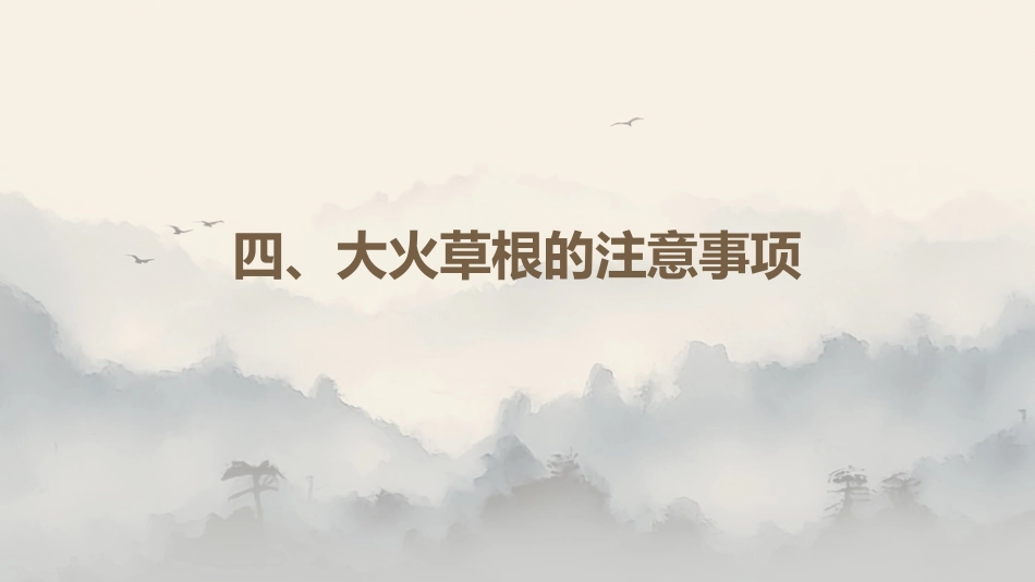 最新关于中草药“大火草根”的认识_第15页