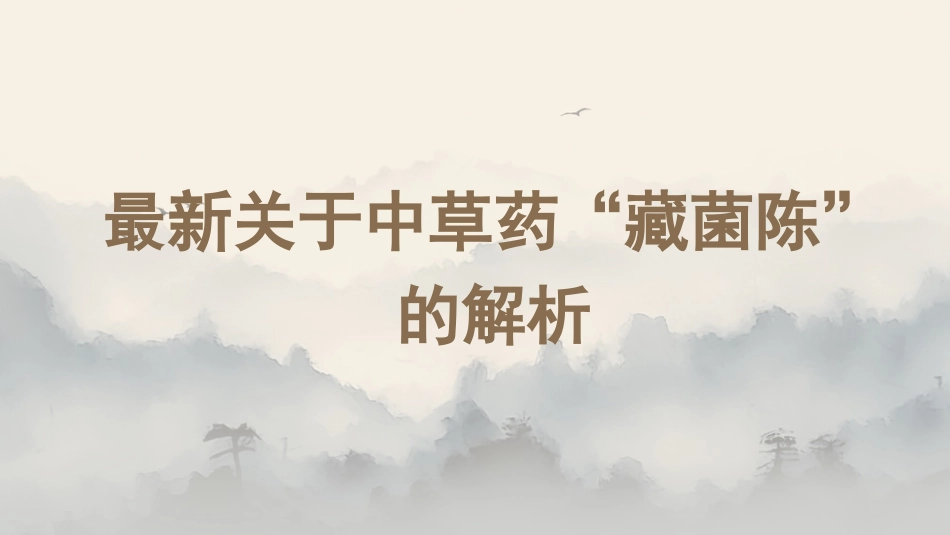 最新关于中草药“藏菌陈”的解析_第1页