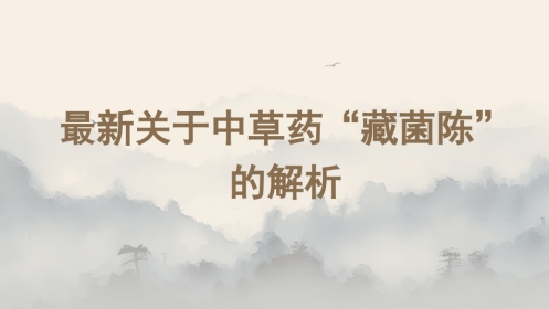 最新关于中草药“藏菌陈”的解析