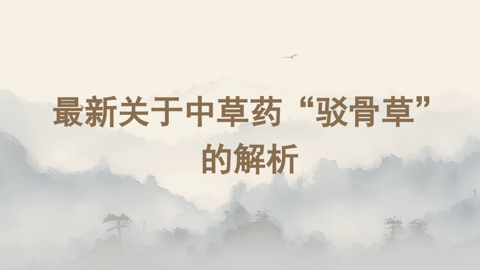 最新关于中草药“驳骨草”的解析_第1页