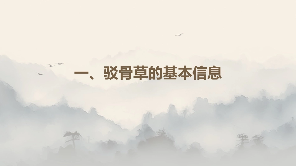 最新关于中草药“驳骨草”的解析_第3页