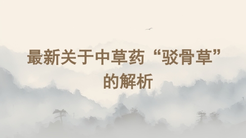 最新关于中草药“驳骨草”的解析