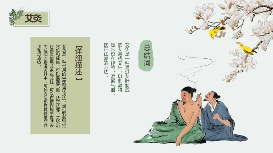中医治疗：中医理疗_第11页
