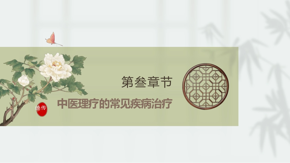 中医治疗：中医理疗_第13页
