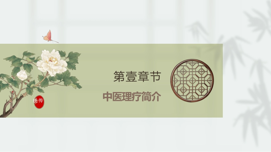 中医治疗：中医理疗_第3页