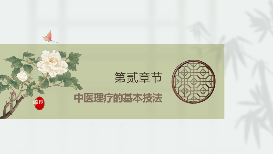 中医治疗：中医理疗_第7页