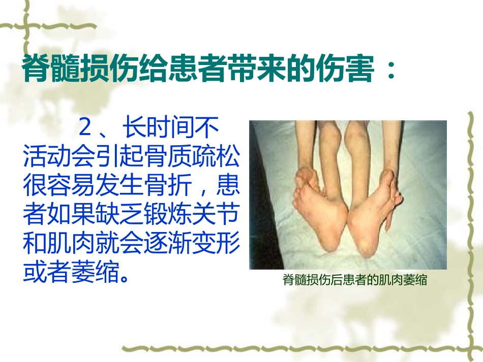 脊髓损伤的中医康复_第5页