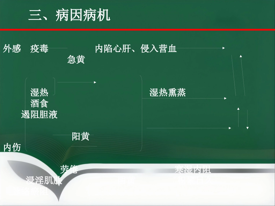 黄疸—中医内科学_第9页