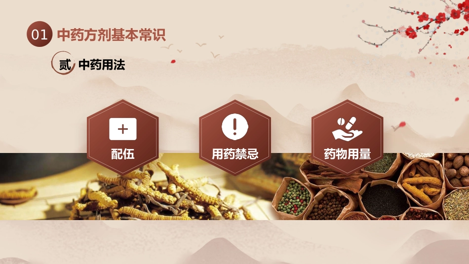 中医用药护理_第10页
