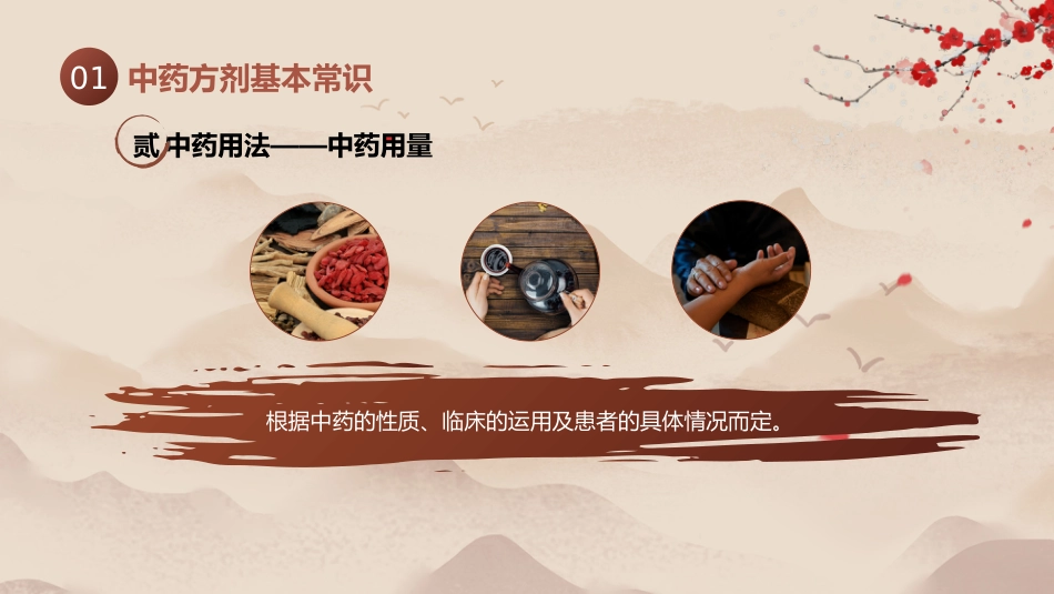 中医用药护理_第13页
