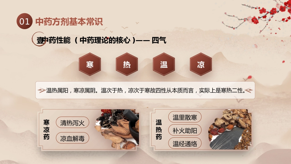 中医用药护理_第5页