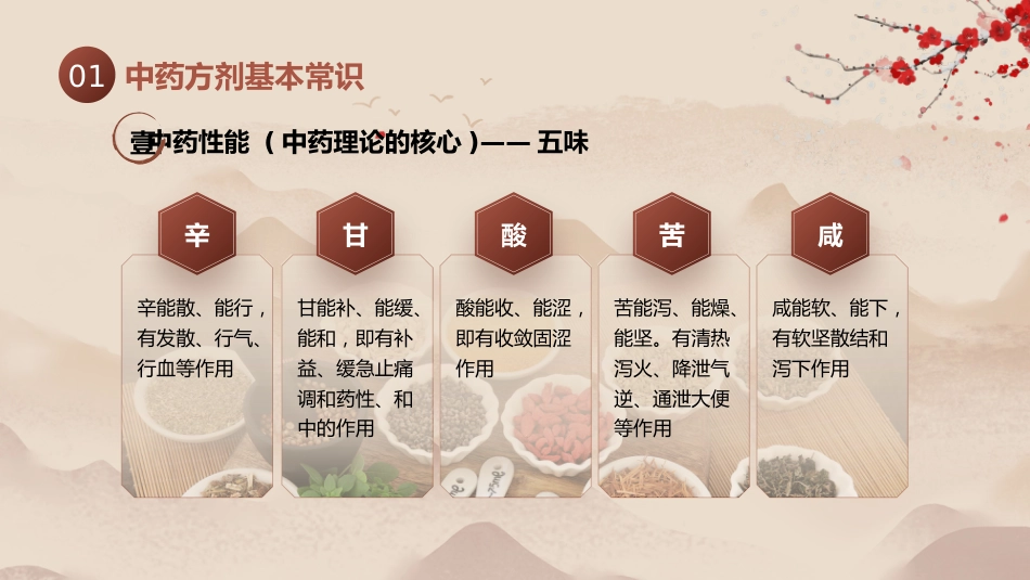 中医用药护理_第6页