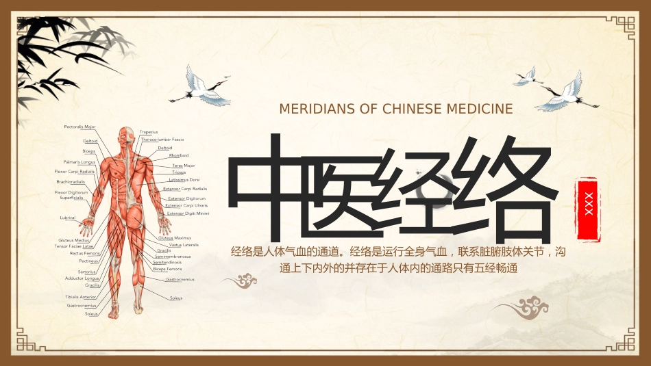 中医其他：中医经络_第1页