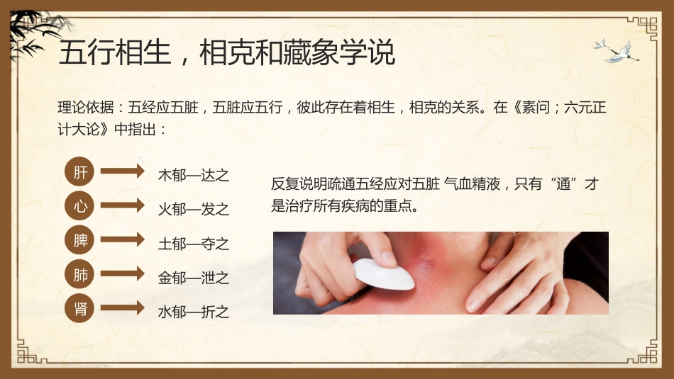 中医其他：中医经络_第10页