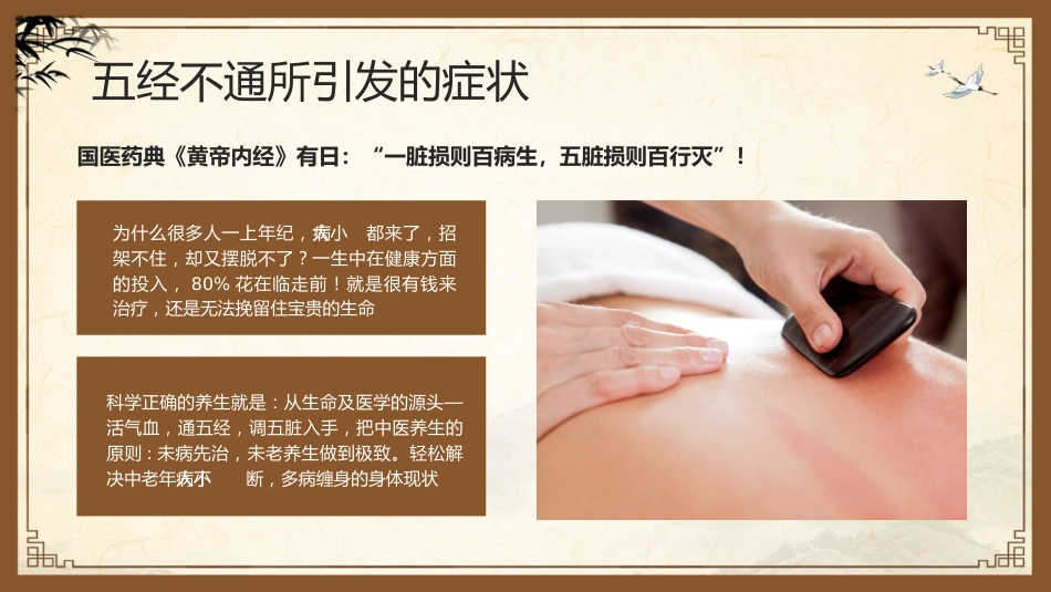 中医其他：中医经络_第12页