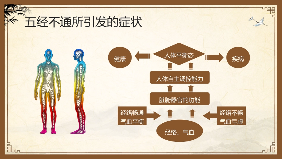 中医其他：中医经络_第13页