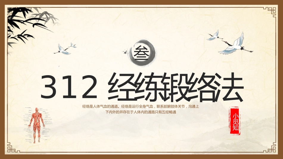 中医其他：中医经络_第14页
