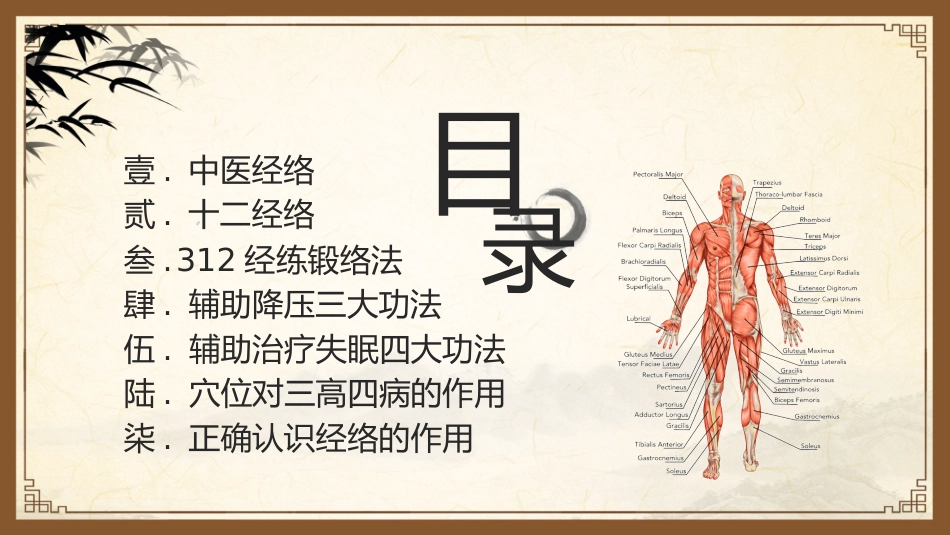 中医其他：中医经络_第2页