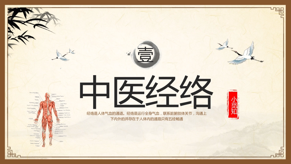 中医其他：中医经络_第3页