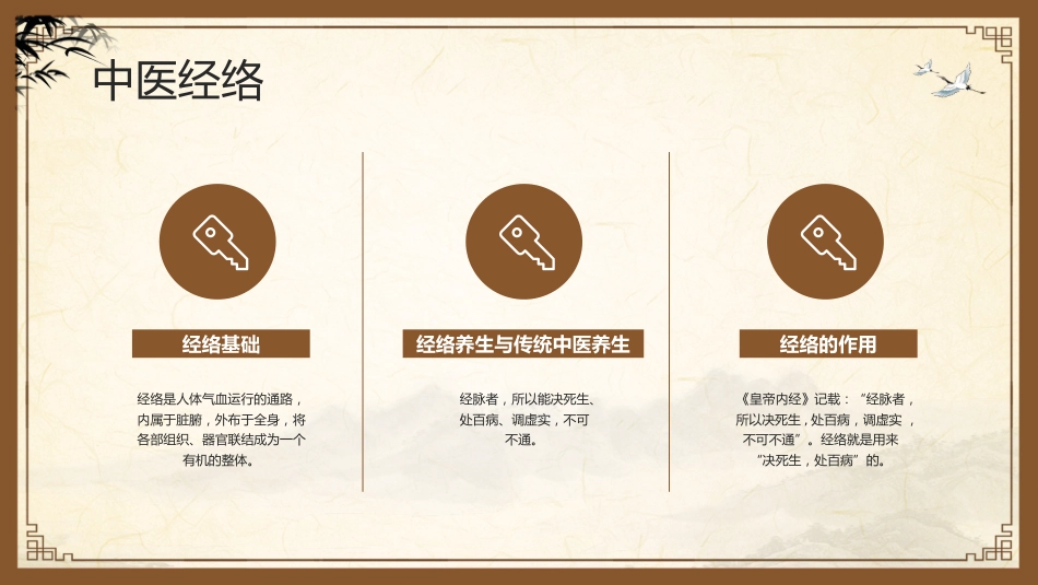 中医其他：中医经络_第4页