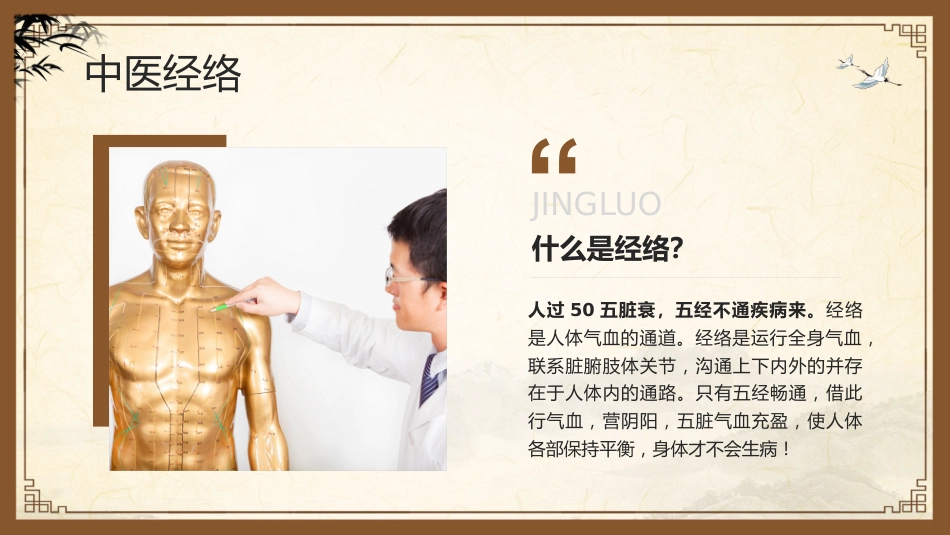 中医其他：中医经络_第5页
