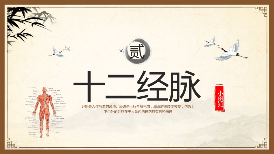中医其他：中医经络_第7页