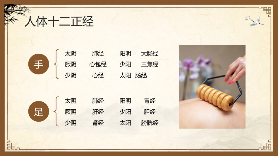 中医其他：中医经络_第9页