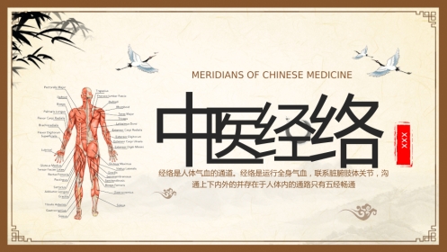 中医其他：中医经络