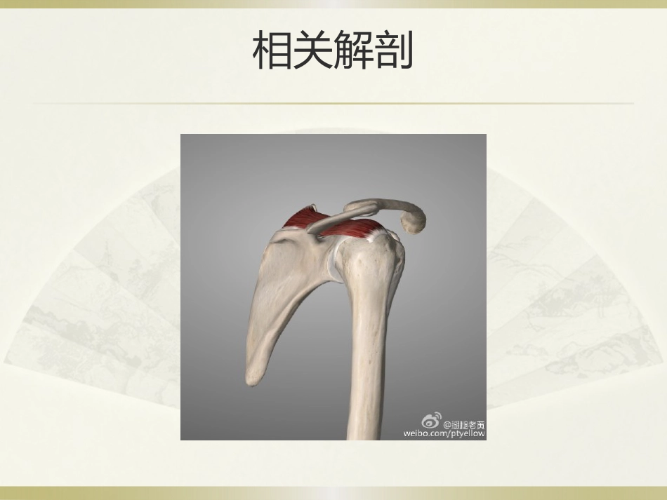 肩周炎的中医治疗(1)_第10页