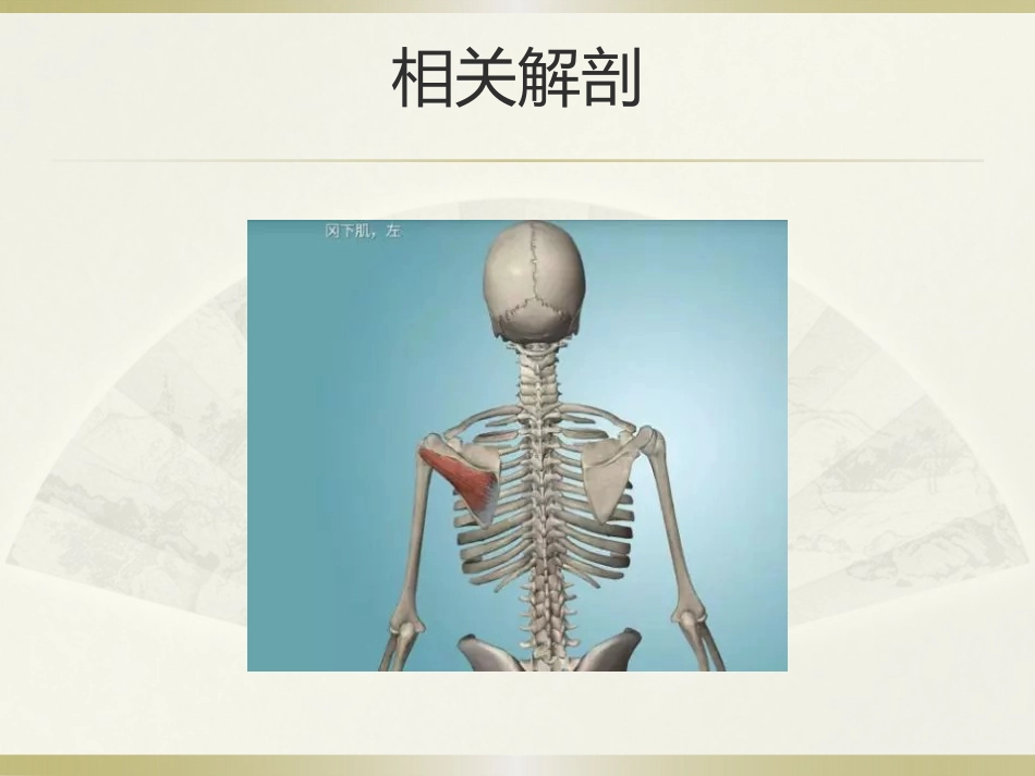 肩周炎的中医治疗(1)_第11页