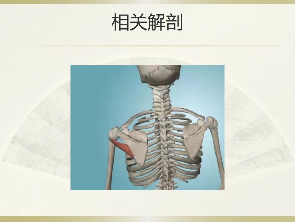 肩周炎的中医治疗(1)_第12页